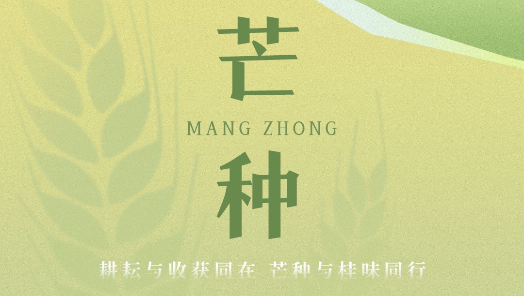芒种迎高考| 播种如期 收获可期