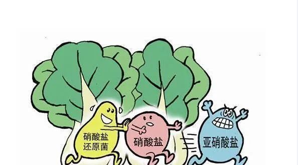隔夜菜含有亚硝酸盐，有毒性、会致癌？