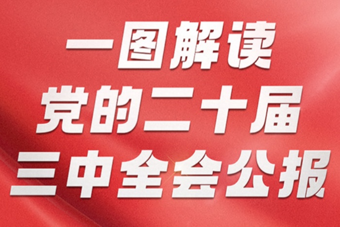 一图解读党的二十届三中全会公报