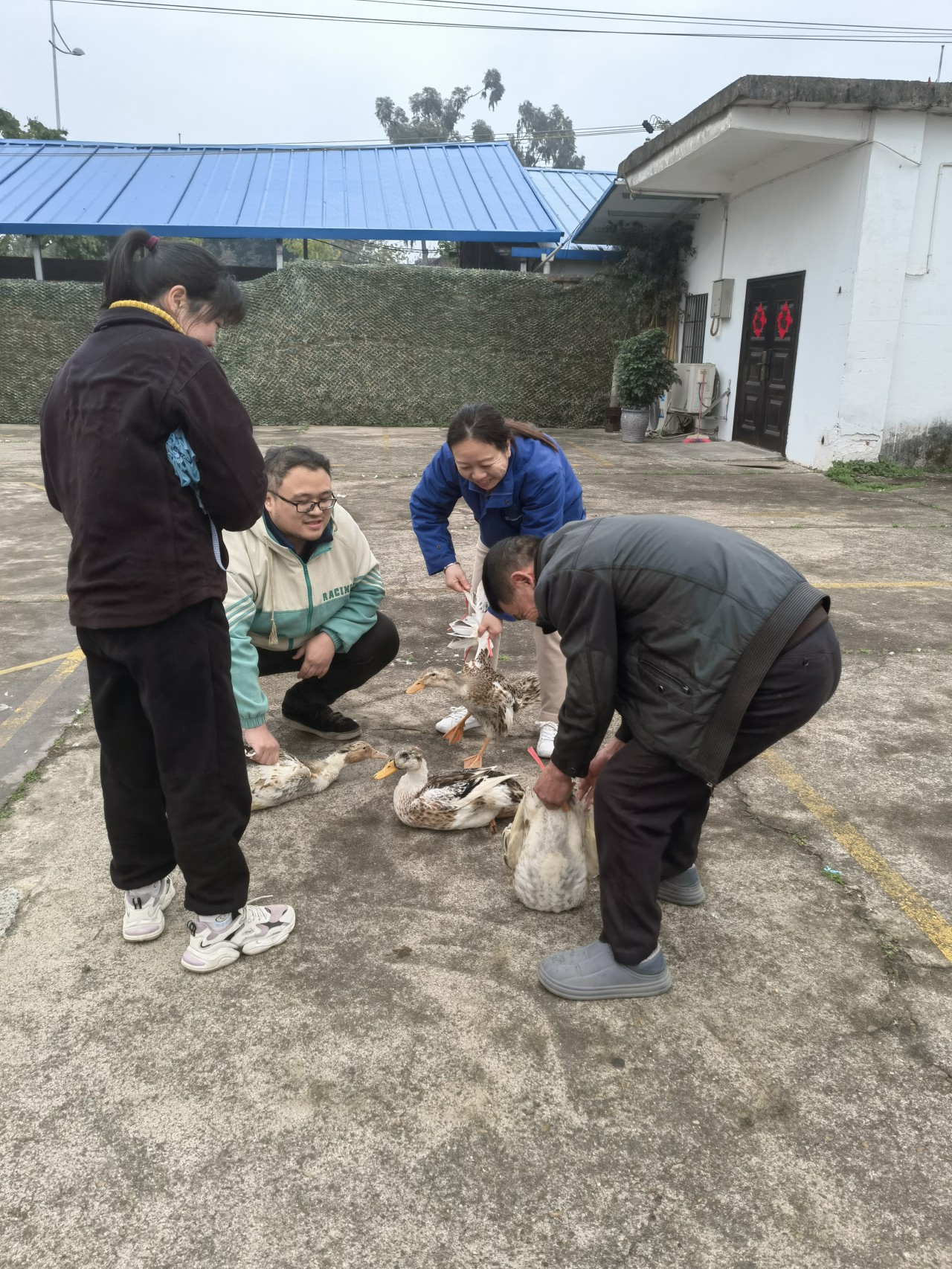 微信图片_20230203180845_副本.jpg